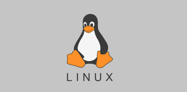Software Installation on Linux